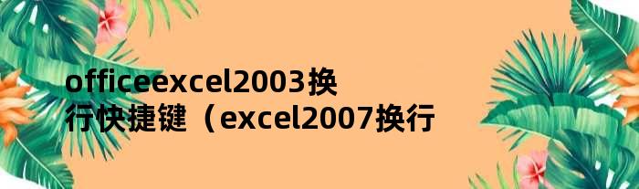 officeexcel2003换行快捷键（excel2007换行）